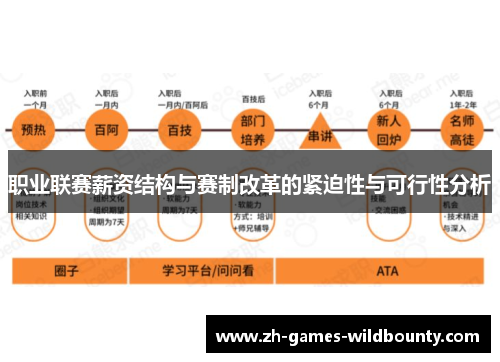 职业联赛薪资结构与赛制改革的紧迫性与可行性分析